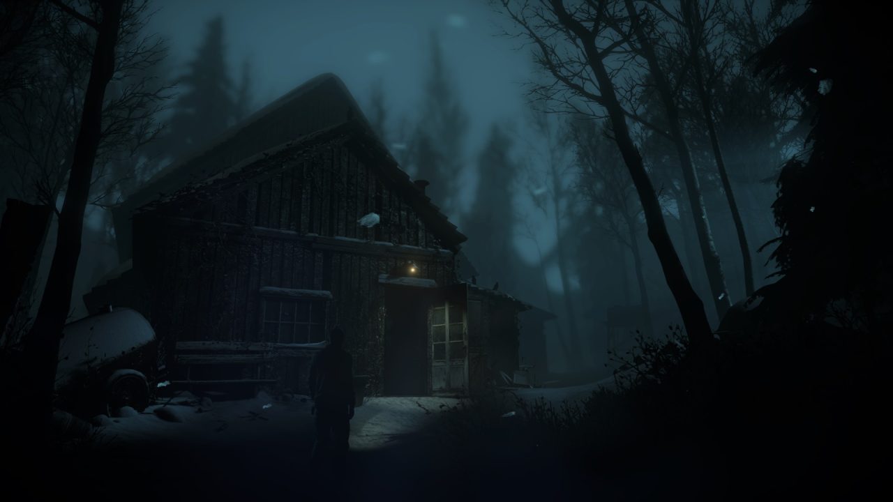 Capture d'écran du jeu Until Dawn